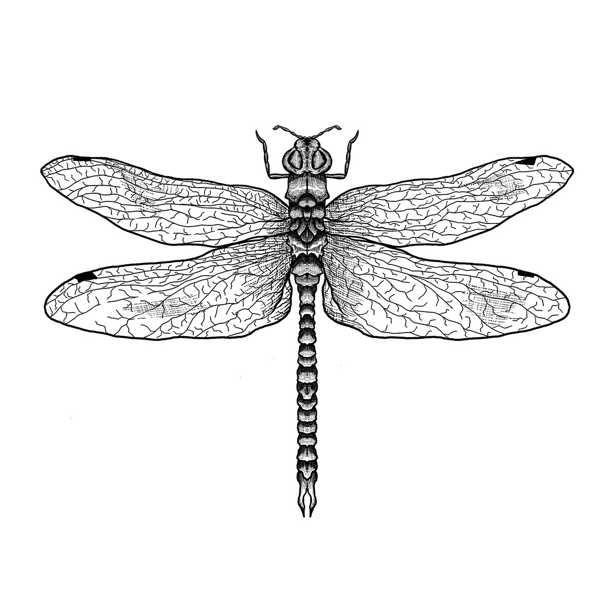 Tennyson by Kiryadi is a temporary tattoo from inkbox - design