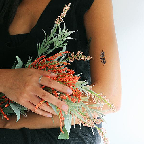 Vera by Talia Missaghi is a Nature temporary tattoo from inkbox - 0