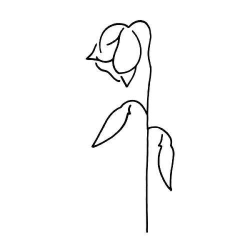 Wilty by Curt Montgomery is a Minimal temporary tattoo from inkbox - 1
