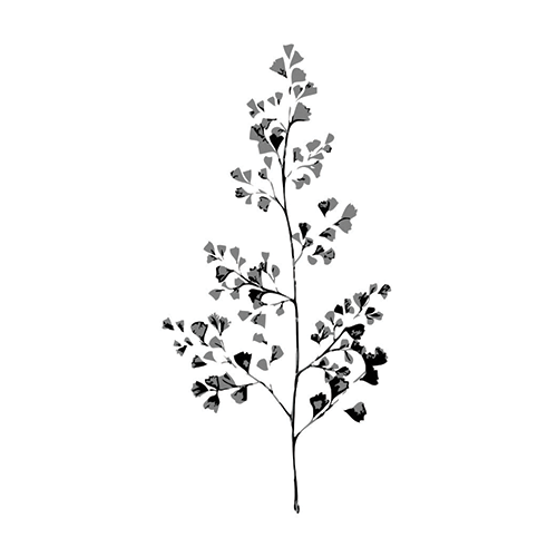 Bella Planta by Andra Bogdan is a temporary tattoo from inkbox - design